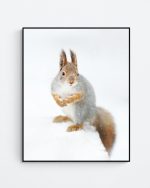 Squirrel on snow