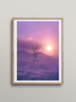 Stormy sunrise