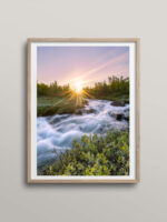 Rapid & midnight sun