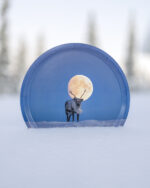Wooden Tray - Reindeer and the Moon