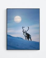 Reindeer during blue hour